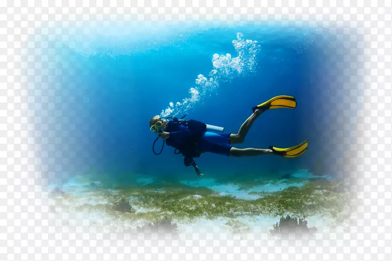 水下潜水水肺潜水公开潜水员潜水证书潜水-潜水
