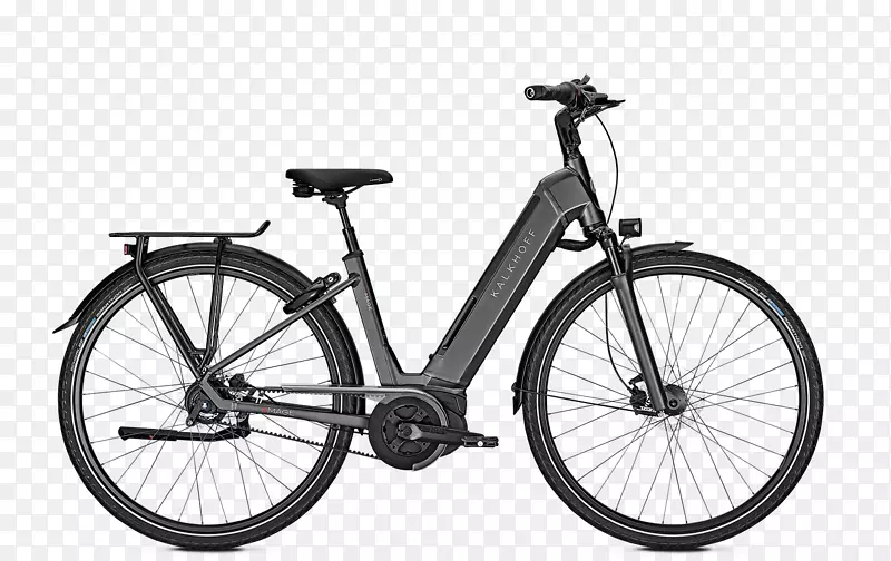 电动自行车佩德-卡尔霍夫电动自行车德累斯顿公司-努力锻炼5年