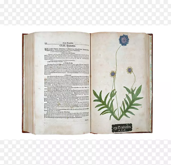 大自然的印象：一部自然的历史印刷纸，自然史，英国图书馆-叶标本