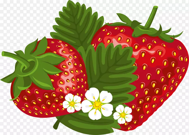 草莓剪贴画-新鲜草莓