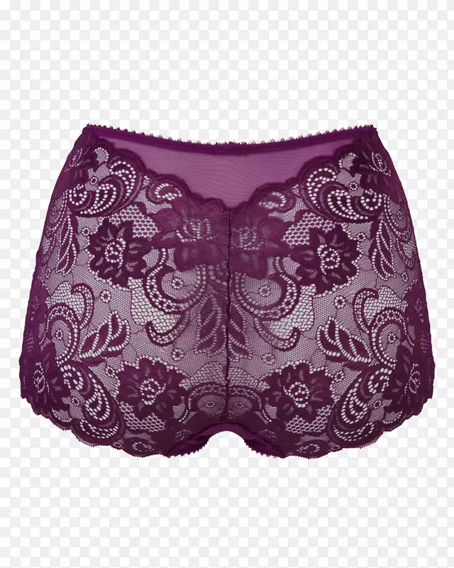 短裤滑腰内裤视觉艺术.紫色茶花
