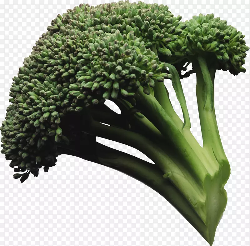 西兰花青菜沙拉-马槽