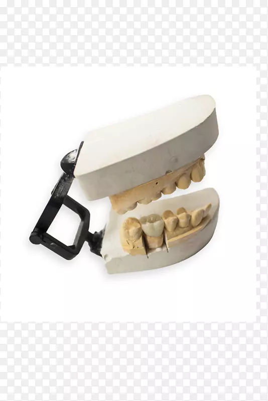 数字牙科陶瓷牙科实验室牙齿模型