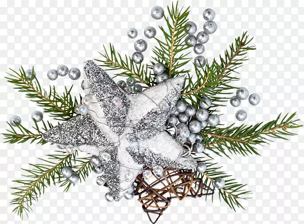 杉木圣诞装饰云杉圣诞树树枝-圣诞树