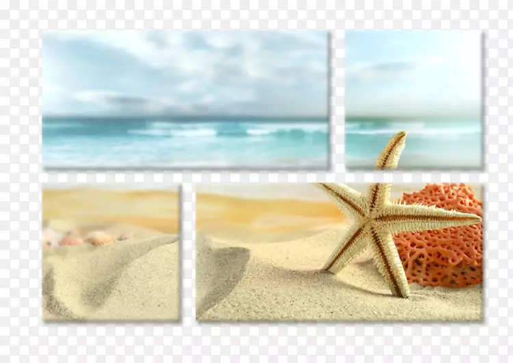 海滩桌面壁纸海岸海星-海滩