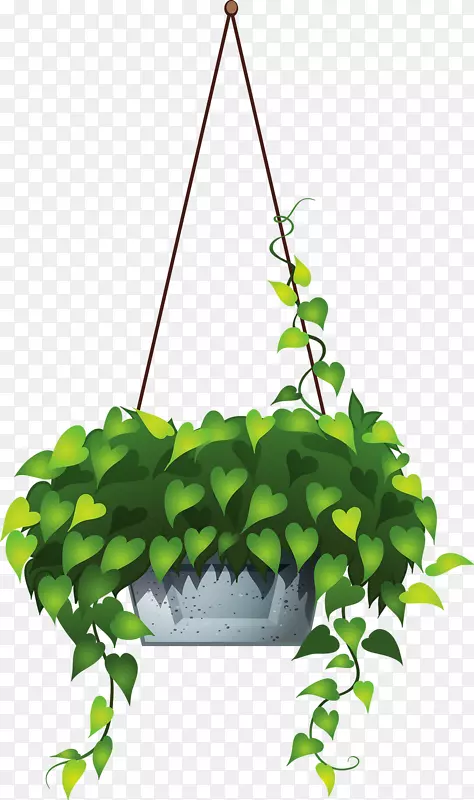 植物挂篮夹艺术-植物