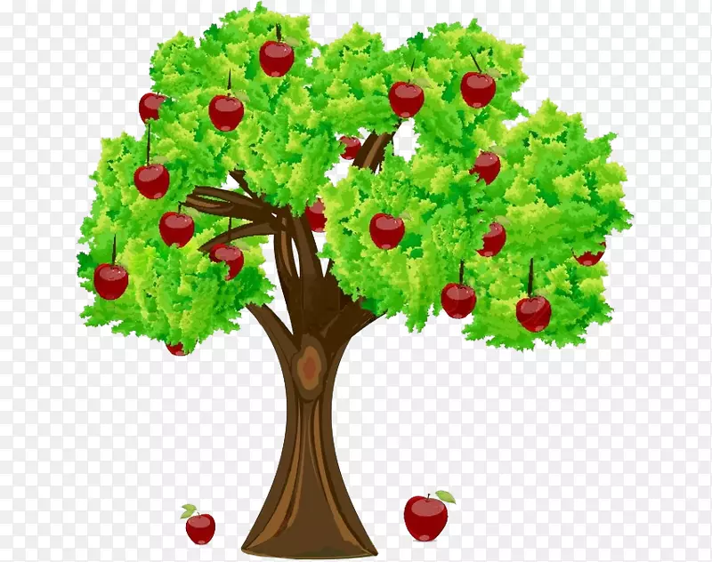 苹果摄影，果树剪贴画-苹果