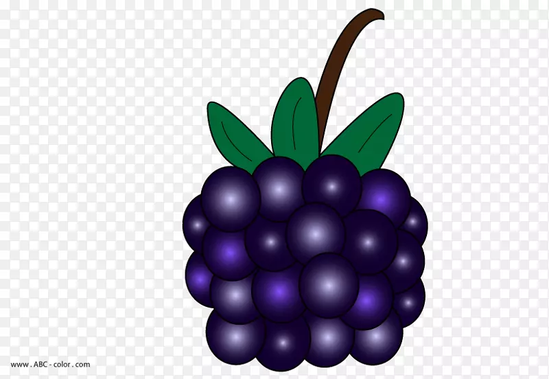 黑莓派剪贴画-黑莓