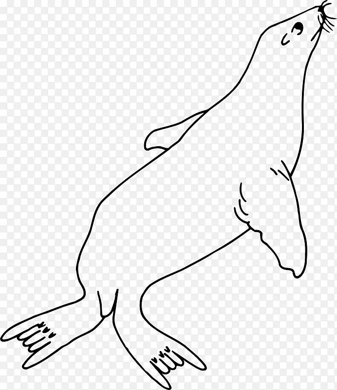 海狮着色书线艺术剪贴画自然海兽海豹