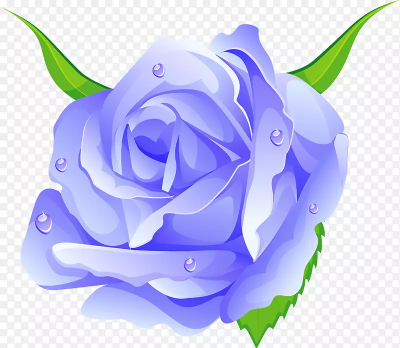 蓝玫瑰、蜈蚣玫瑰、花园玫瑰、海滩玫瑰、玫瑰科-绿色蓝色