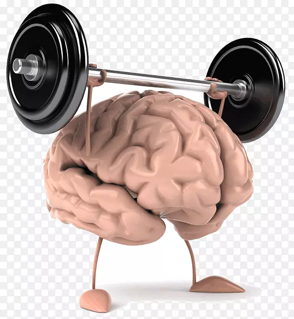 普拉加提脑力提升训练中心。认知训练人脑运动-脑