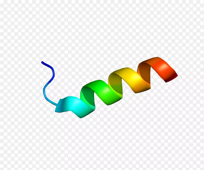 s100a11 s100蛋白基因钙结合蛋白z