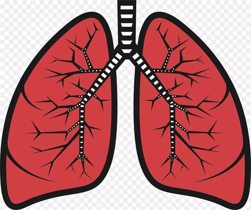 肺夹艺术-肺外科