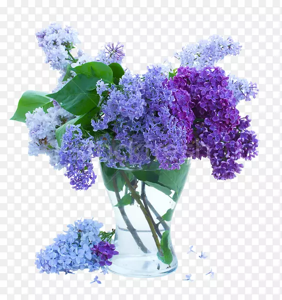 花瓶摄影紫丁香