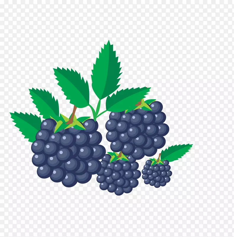 水果电脑图标剪贴画-黑莓