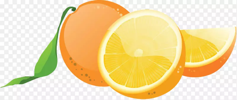 水果标志-橘子花边