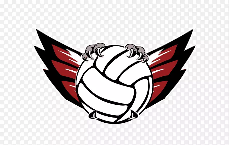 拉科塔西部高中初中队橄榄球拉科塔驱动西部运动-火鸟