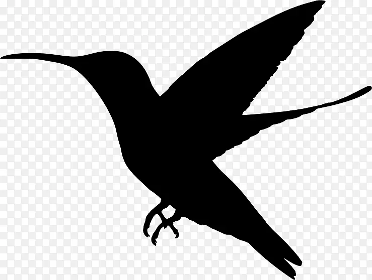 黑下巴蜂鸟鸭夹艺术-黑鸟
