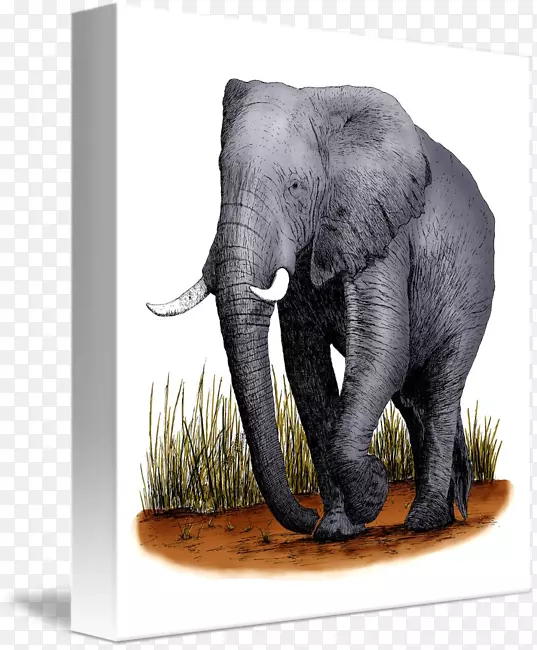 印度象非洲灌木象非洲森林象野生动物创意象
