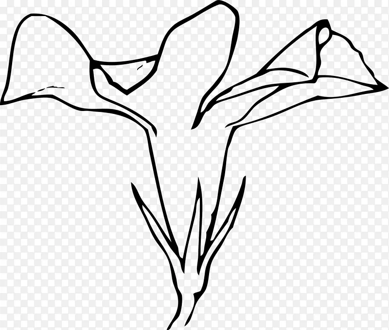 剪贴画-花纹