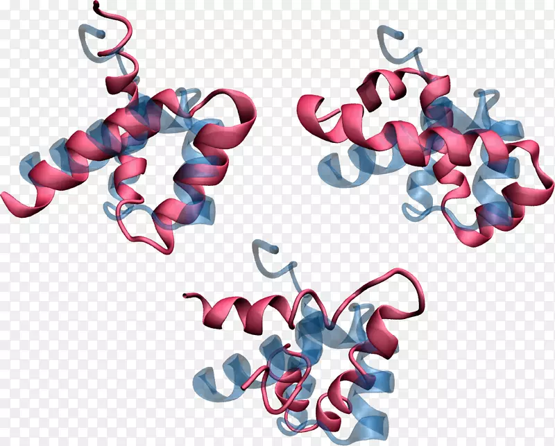 计算蛋白质设计蛋白质工程构象异构叠加