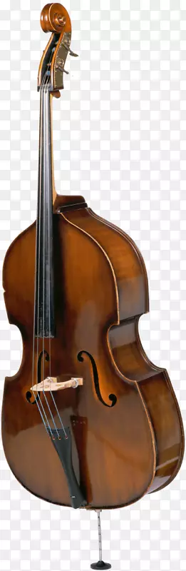 低音弦乐器低音吉他摄影大提琴乐器