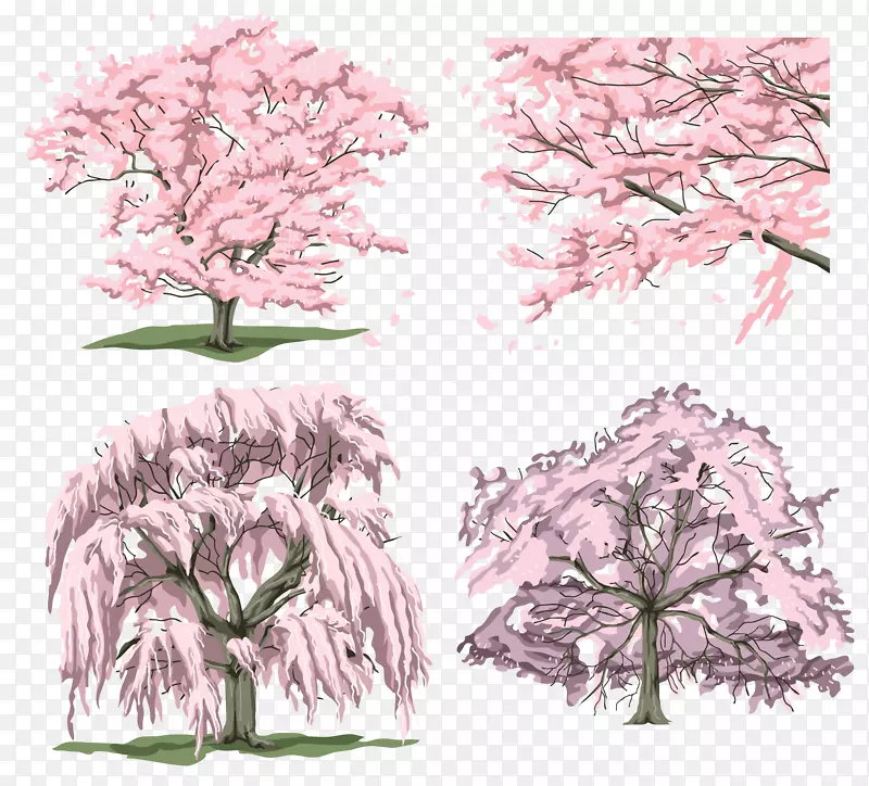 树枝花卉剪贴画手绘花卉素描