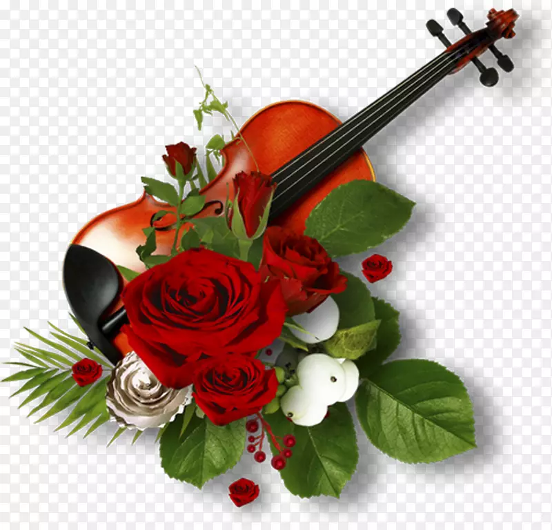 画框花园玫瑰大提琴