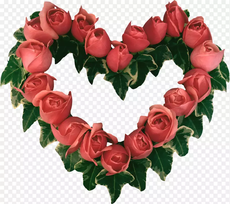 情人节最好的玫瑰花桌面壁纸-感人