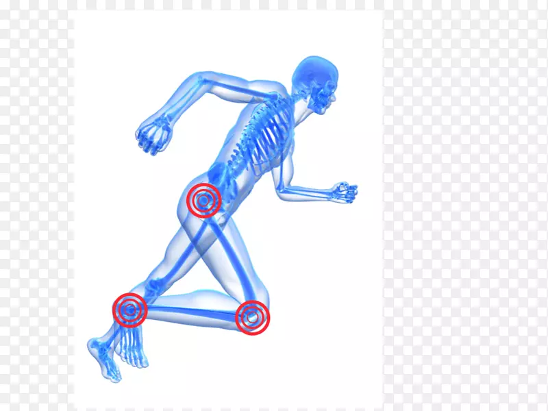 人体骨骼跑步股摄影人体骨骼