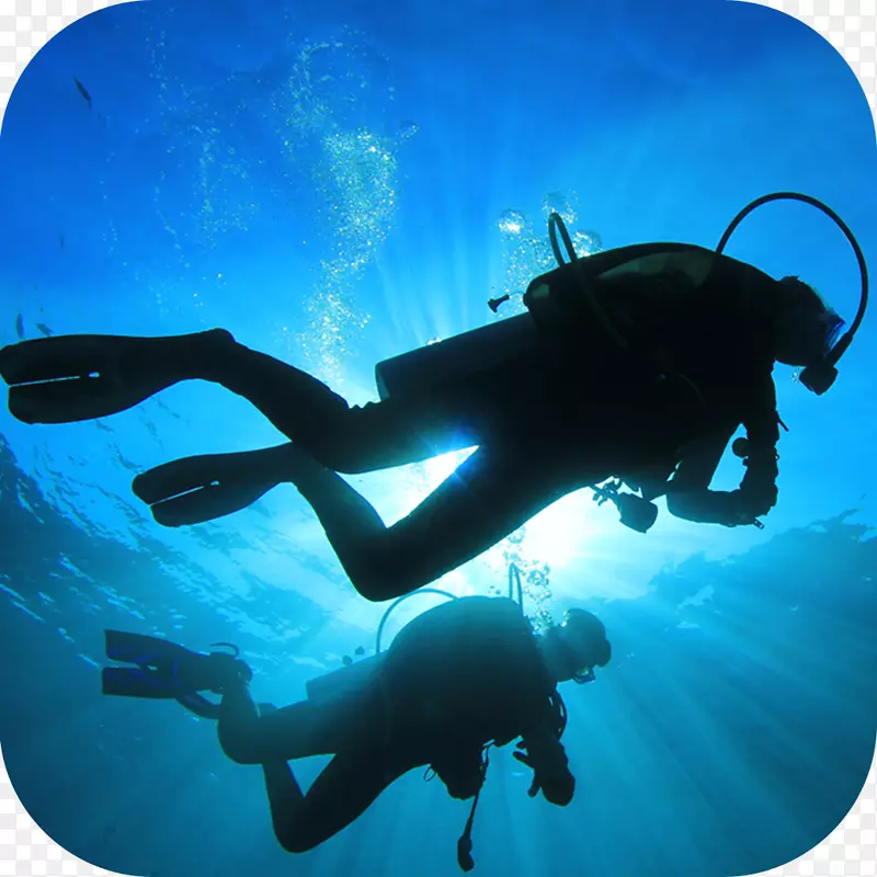 潜水专业协会潜水教练专业协会潜水中心-潜水中心