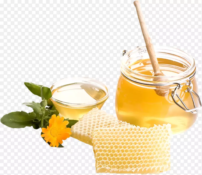蜂蜜幸福美甲站登陆蜜蜂-蜂蜜