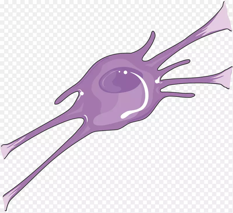 少突胶质细胞神经系统神经元脑膜神经母细胞神经病学