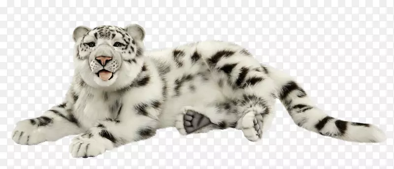 雪豹虎猫科须-雪豹