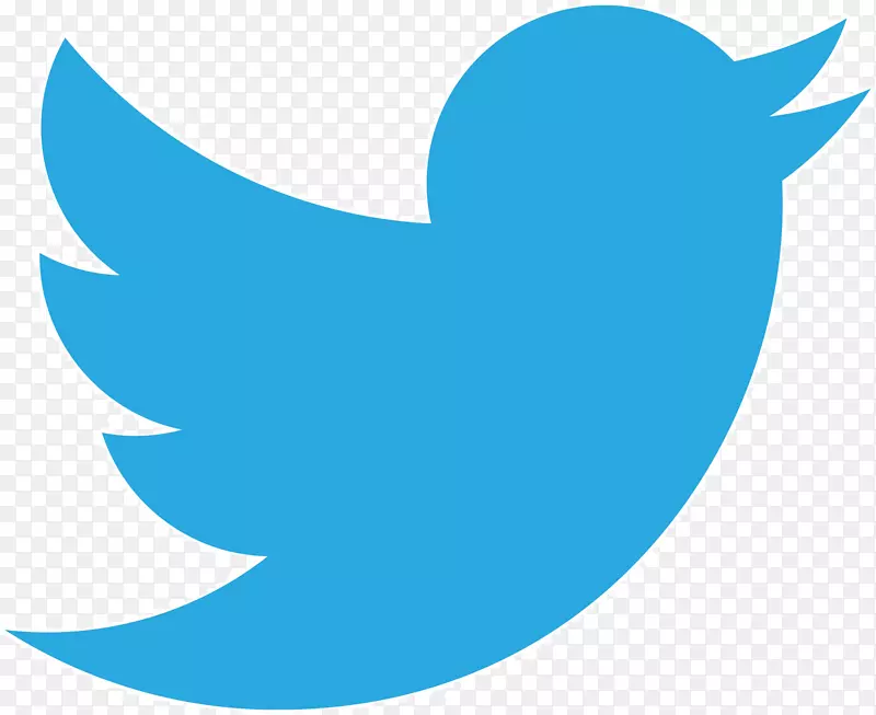 社交媒体营销标志电脑图标地球系统科学部-推特鸟