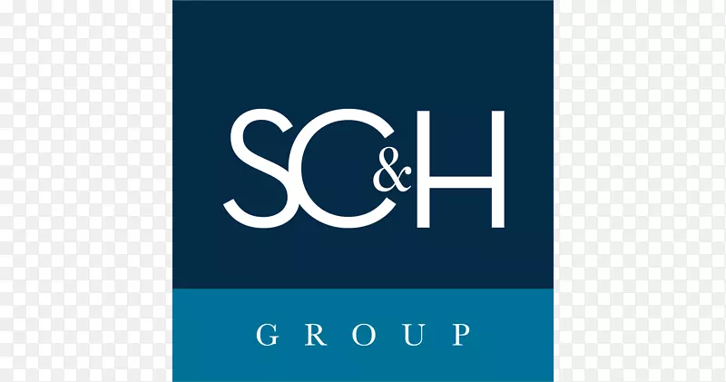 sc&h集团，llc公司业务管理咨询财务-软件公司
