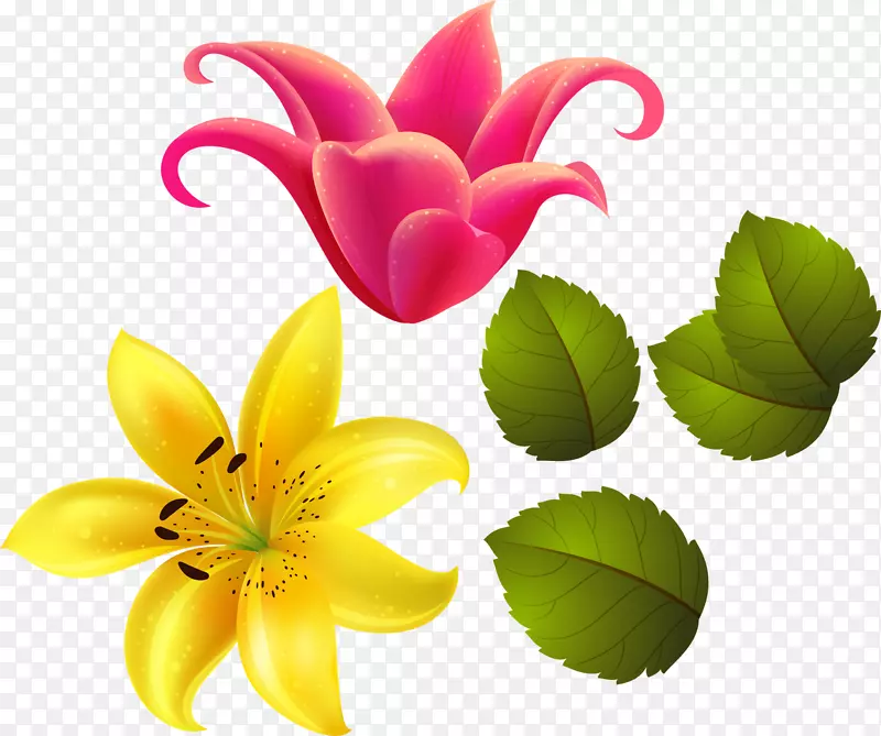 百合花礼品花卉设计花瓣-古楼