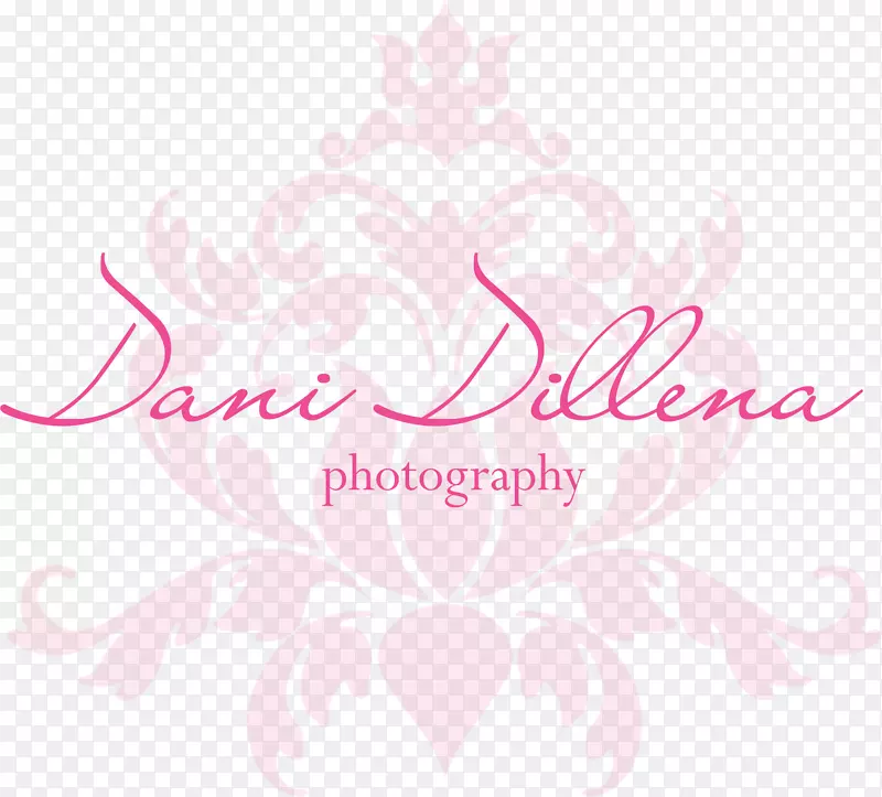 墙壁标记Dani Dillena摄影花卉设计