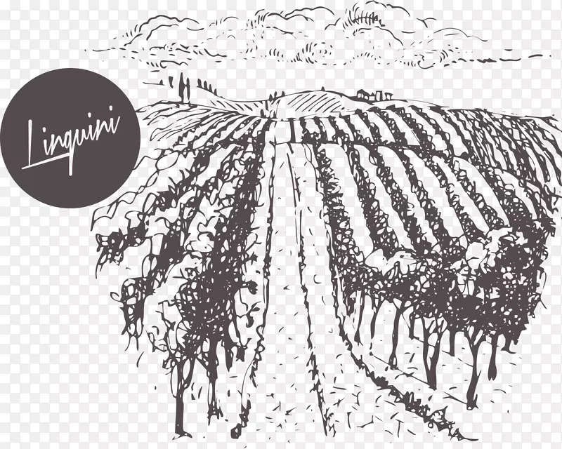 勃艮第葡萄酒又回到勃艮第：法国葡萄酒和兄弟情谊葡萄酒的故事-葡萄酒
