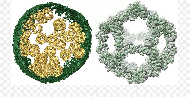 犹他大学生物化学生物研究纳米材料-生物科学