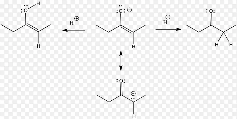 烯酸阴离子亲核羰基
