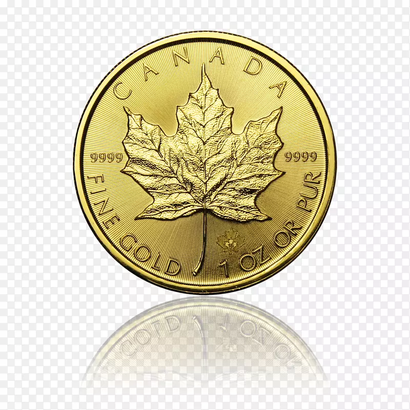金币加拿大金枫叶加拿大金币PNG