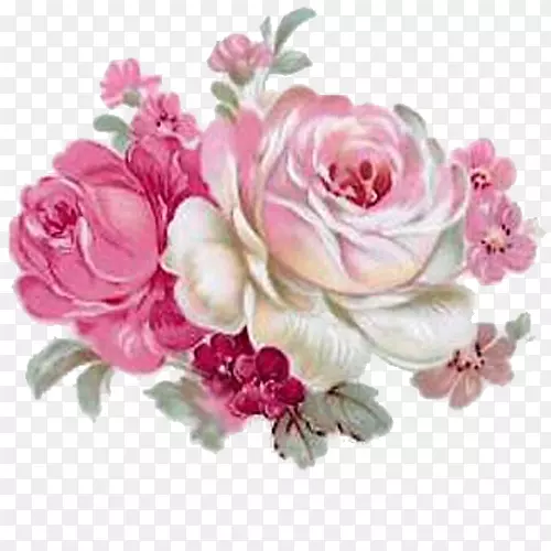 纸复古玫瑰：家庭和花园的美丽品种-玫瑰花