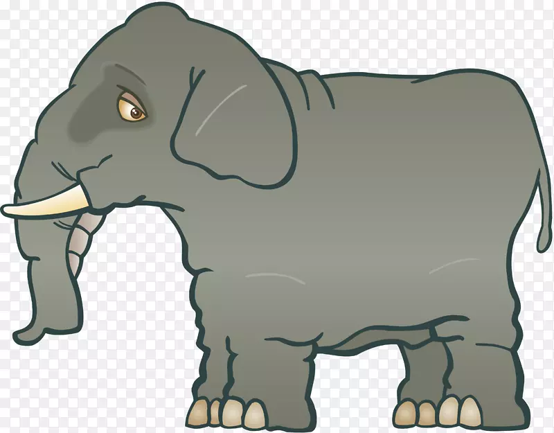 非洲象印度象西伯利亚哈士奇河马可爱