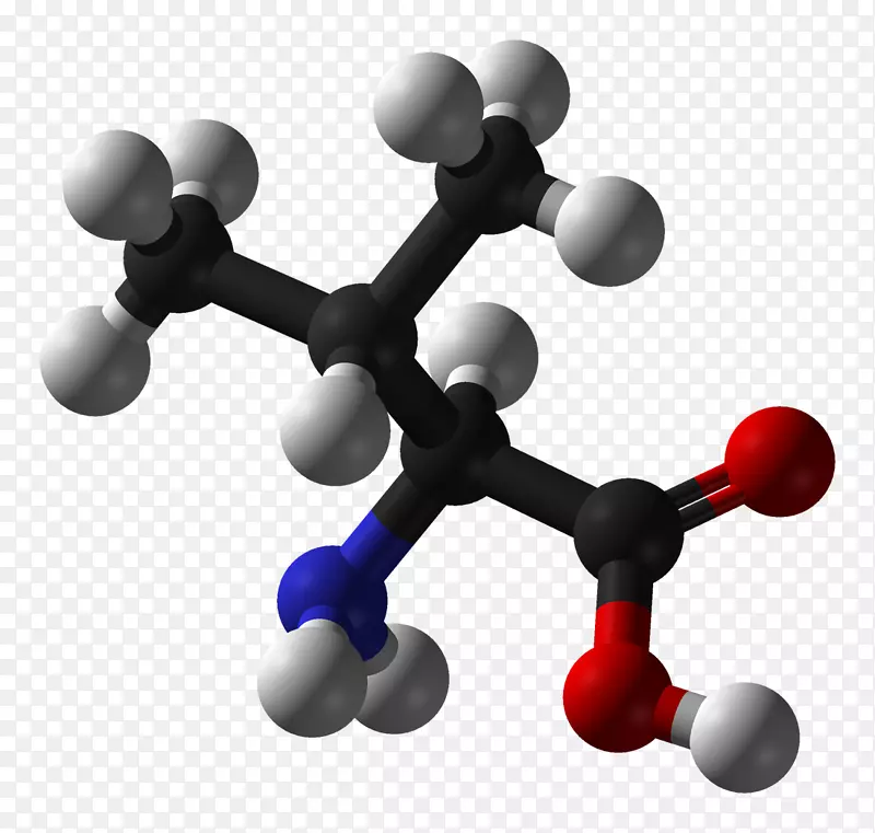 必需氨基酸缬草碱苏氨酸结构载体