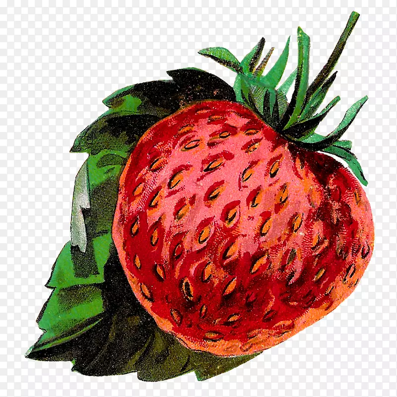 草莓配套水果剪贴画-草莓