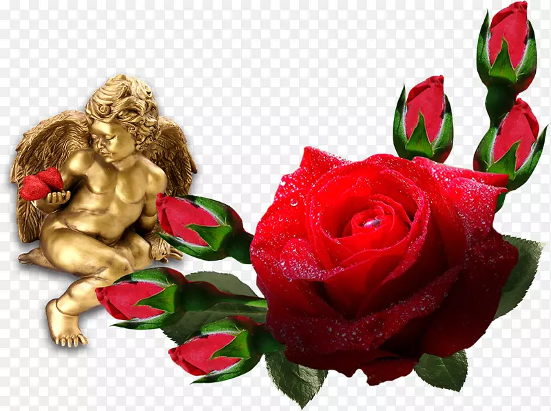 花园玫瑰，花卉设计，切花，花束-情人节晚餐