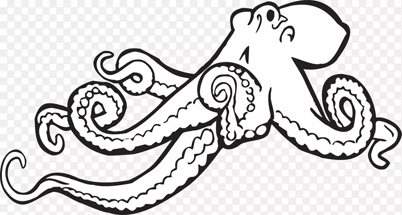 章鱼黑白剪贴画-卡通鱿鱼