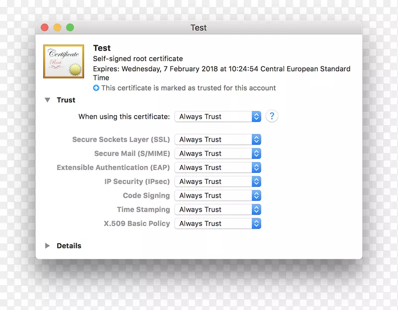 自签名证书传输层安全公钥证书macos https-诚实和对考试的信心