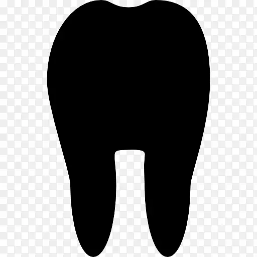 人类牙齿轮廓-轮廓
